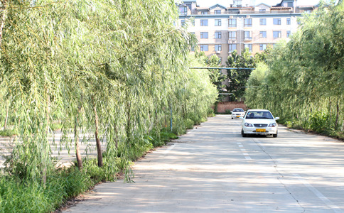 燕赵驾校，石家庄燕赵驾校，石家庄市燕赵驾校